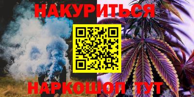 стаф Будённовск