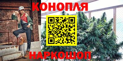 стаф Будённовск