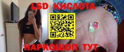 стаф Будённовск
