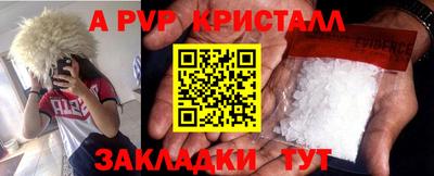 стаф Будённовск